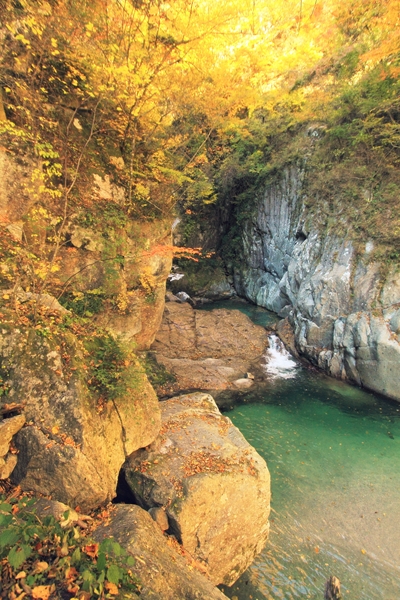 c0228945_2012535.jpg