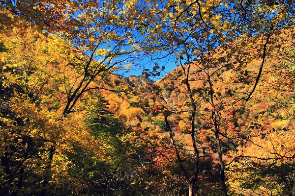 c0228945_20154119.jpg