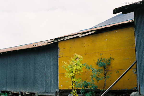 f0166545_2244762.jpg
