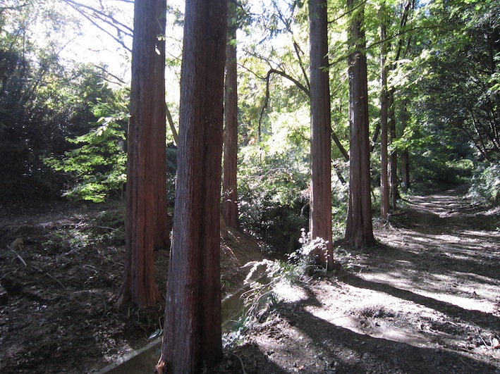 a0044046_21464026.jpg