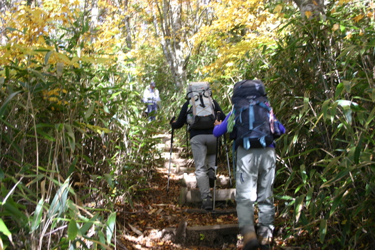 c0042847_15474071.jpg