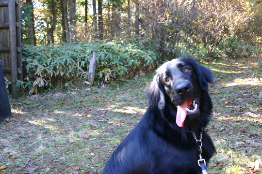c0042847_15484757.jpg