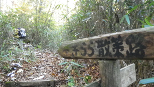c0042847_1603368.jpg