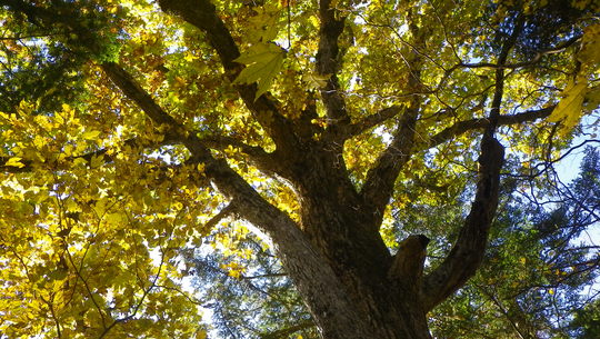 c0042847_1622387.jpg