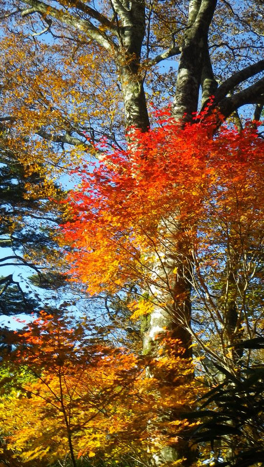c0042847_1631920.jpg