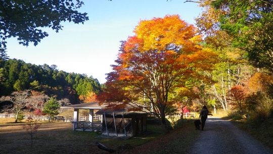 c0042847_1662155.jpg