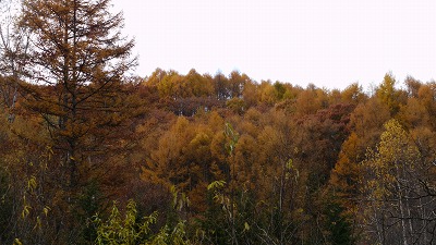 c0220047_1073481.jpg
