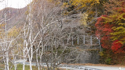 c0220047_9572072.jpg