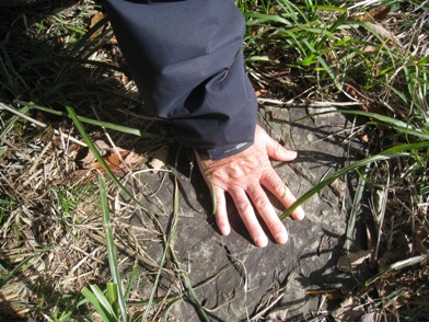 f0202151_21495116.jpg
