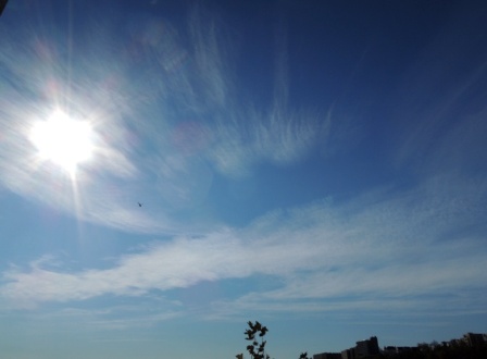 b0173754_0584644.jpg