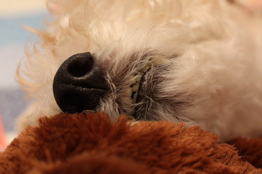a0187356_145625.jpg