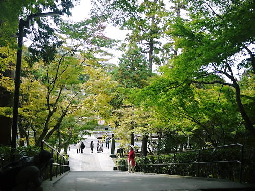 b0282061_11425.jpg