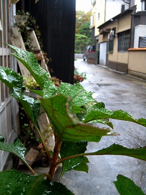 f0211463_12431691.jpg