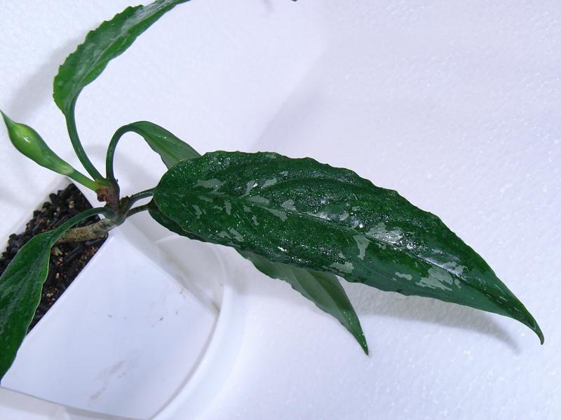 d0249970_16585997.jpg