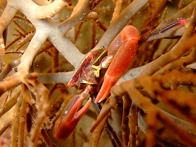 b0033573_16101797.jpg