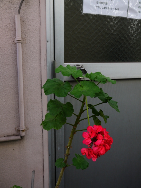 b0104774_21434270.jpg
