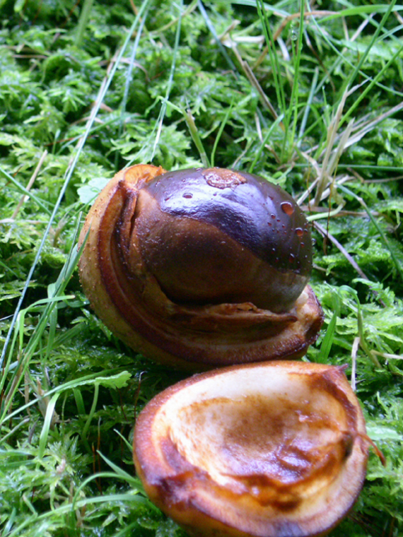 e0118274_2327573.jpg