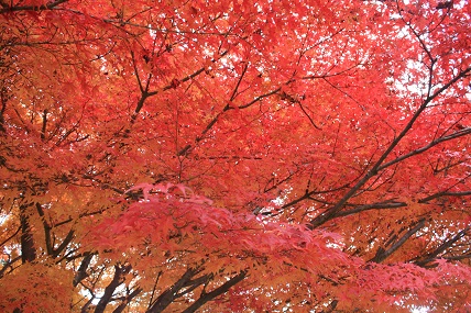 c0174077_0344822.jpg