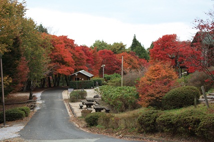 c0174077_038153.jpg