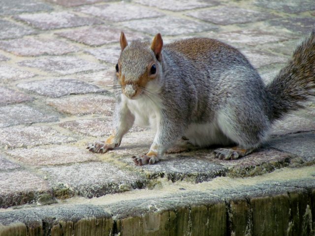 c0183777_21111659.jpg