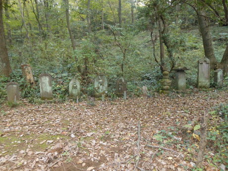 c0206177_11325849.jpg