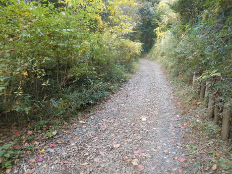 c0206177_11421058.jpg