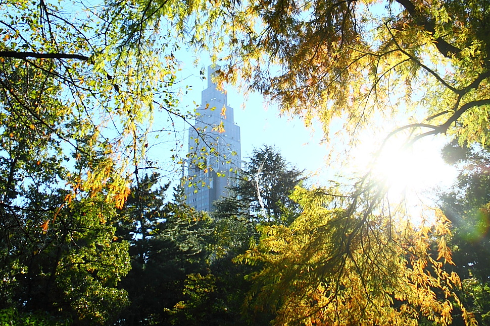 e0249878_045864.jpg