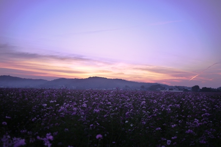 b0236985_23141386.jpg
