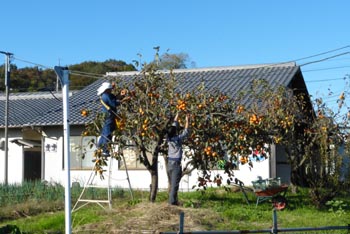 c0146788_1142764.jpg