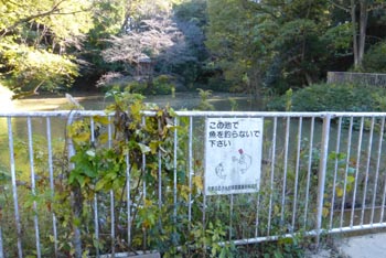 c0146788_114296.jpg
