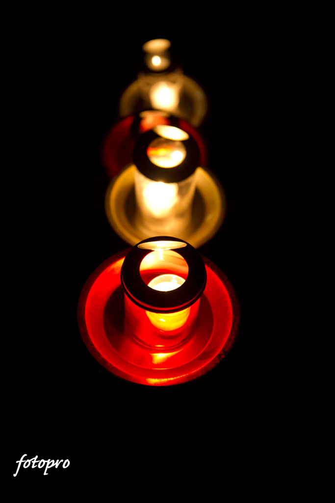 a0290990_2020197.jpg