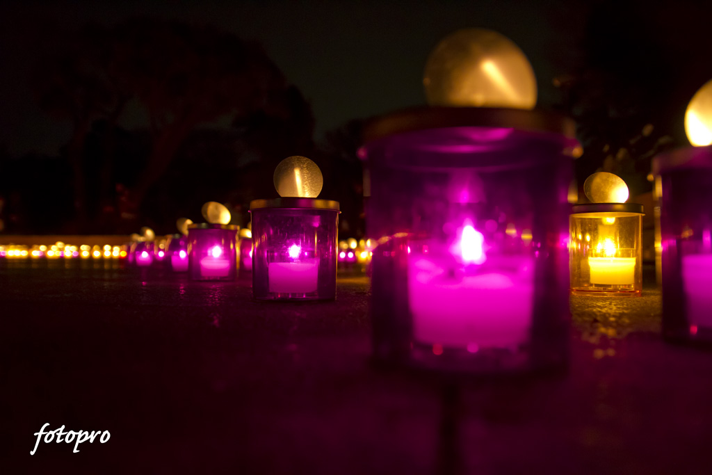 a0290990_20202811.jpg