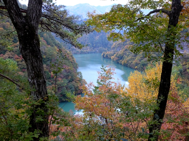 a0229491_153895.jpg