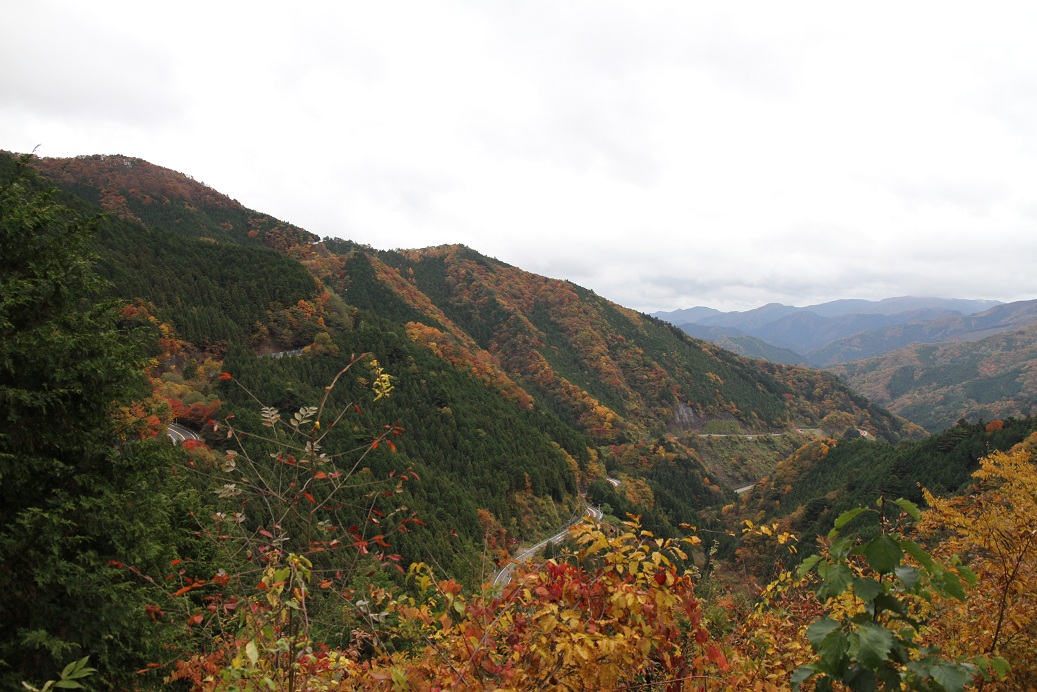 a0090292_20909.jpg