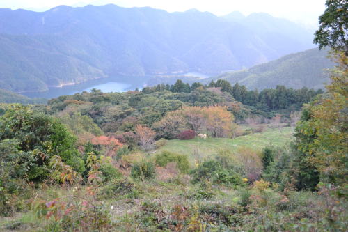 e0017396_1015385.jpg