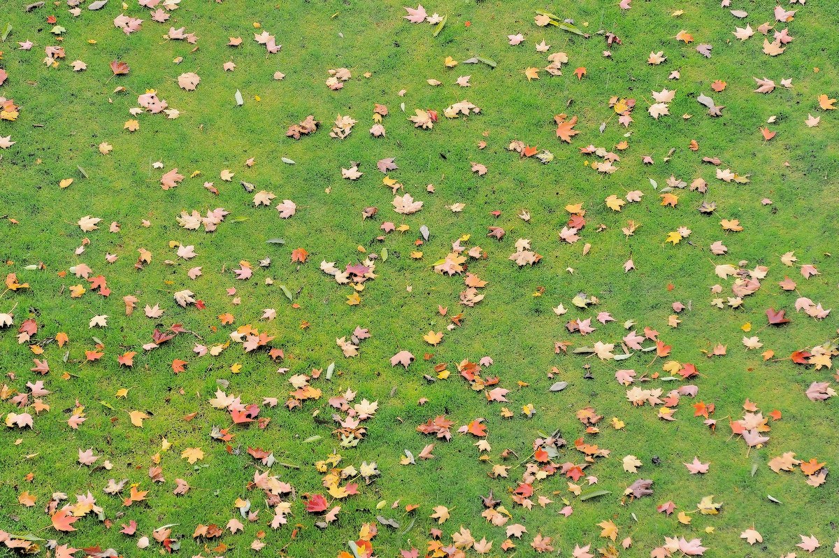 a0062697_16241121.jpg