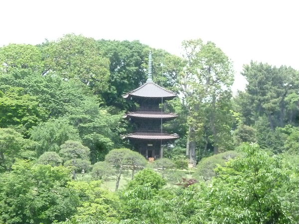 d0080998_2146099.jpg