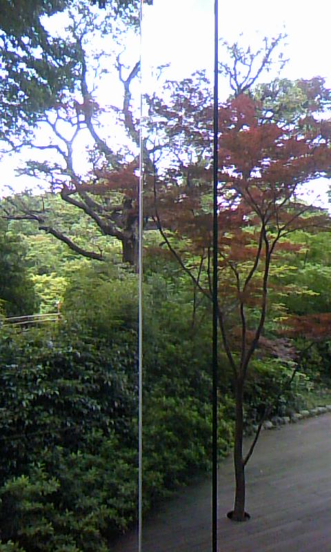 d0080998_2147794.jpg