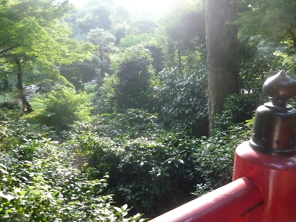 d0080998_21484159.jpg