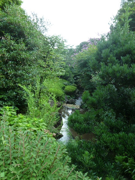 d0080998_21485662.jpg