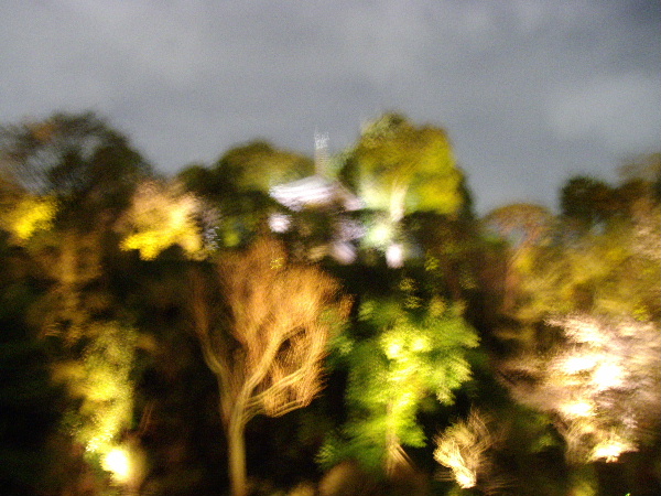 d0080998_21491777.jpg
