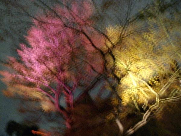d0080998_21491910.jpg