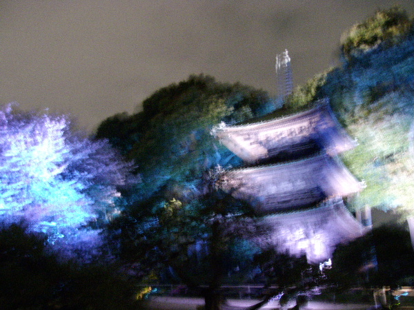 d0080998_21492532.jpg