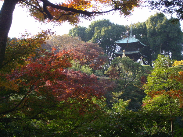 d0080998_21501071.jpg