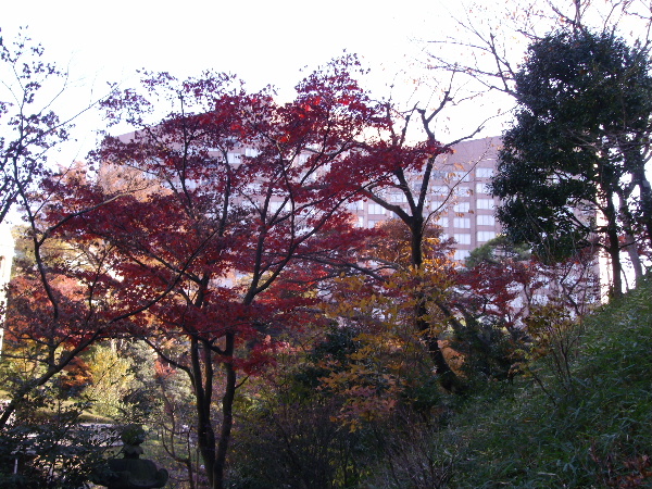 d0080998_21501473.jpg