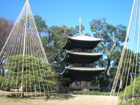 d0080998_2292670.jpg