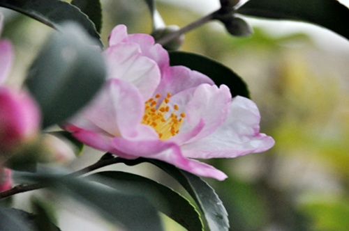 f0176499_16591780.jpg