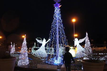 a0211200_2392041.jpg