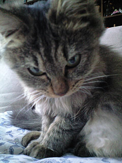 c0035001_16172590.jpg