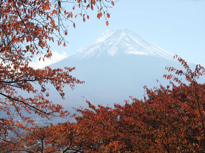 a0188405_1563757.jpg